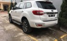 Ford Everest   Titanium 4x2  2018 - Bán Ford Everest Titanium 4x2 đời 2018, màu trắng, nhập khẩu nguyên chiếc