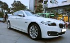 BMW 5 Series 520i 2016 - Bán BMW 5 Series 520i SX 2016, đi 22000km, còn rất mới