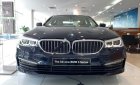 BMW 5 Series 520i 2019 - Bán ô tô BMW 5 Series 520i năm 2019, màu xanh lam, nhập khẩu