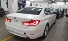 BMW 5 Series 530i 2019 - Bán BMW 5 Series 530i sản xuất năm 2019, màu trắng, xe nhập