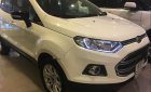 Ford EcoSport Titanium 2015 - Bán Ford EcoSport Titanium đời 2015, màu trắng