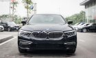 BMW 5 Series 530i 2019 - Bán xe BMW 5 Series 530i sản xuất 2019, màu đen, nhập khẩu Đức