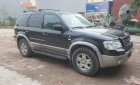 Ford Escape AT 2004 - Bán Ford Escape AT 2004, nhập khẩu nguyên chiếc