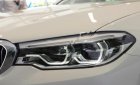 BMW 5 Series 530i Luxury Line 2018 - Bán ô tô BMW 5 Series 530i Luxury Line năm sản xuất 2018, màu trắng, xe mới 100%