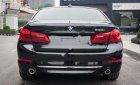 BMW 5 Series 530i 2019 - Bán xe BMW 5 Series 530i sản xuất 2019, màu đen, nhập khẩu Đức