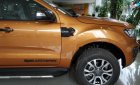 Ford Ranger Wildtrak 2.0L 4x4 AT 2019 - Bán Ford Ranger Wildtrak 2.0L 4x4 AT 2019, nhập khẩu, mới 100%