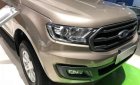 Ford Everest  Titanium 4x2   2018 - Bán Ford Everest Titanium 4x2 năm sản xuất 2018, màu vàng, nhập khẩu