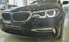 BMW 5 Series 530i 2018 - Bán BMW 530i All New G30, màu đen, nội thất đen, nhập khẩu, xe giao ngay với đầy đủ hồ sơ