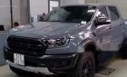 Ford Ranger   Raptor 2019 - Cần bán Ford Ranger Raptor đời 2019, màu đen, nhập khẩu nguyên chiếc