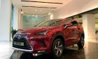 Lexus NX 300 2019 - Bán Lexus NX 300 sản xuất năm 2019, màu đỏ, nhập khẩu