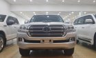 Toyota Land Cruiser 5.7L V8   2018 - Bán Toyota Land Cruiser 5.7L V8 xuất Mỹ sản xuất năm 2018, màu bạc, nhập khẩu