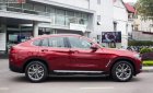BMW X4 xDrive20i 2019 - Bán BMW X4 xDrive20i sản xuất 2019, màu đỏ, nhập khẩu 