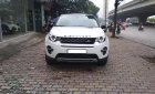 LandRover Discovery Sport HSE luxury 2015 - Cần bán LandRover Discovery Sport HSE Luxury năm sản xuất 2015, nhập khẩu