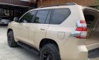 Toyota Land Cruiser Prado TXL 2010 - Cần bán Toyota Land Cruiser Prado TXL năm 2010, màu vàng, nhập khẩu