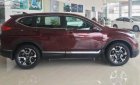 Honda CR V L 2019 - Bán xe Honda CRV 2019 nhập khẩu nguyên chiếc