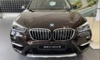 BMW X1   sDrive 1.8i 2019 - Cần bán BMW X1 sDrive 1.8i sản xuất 2019, màu đen, nhập khẩu