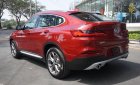 BMW X4 X4 xDrive 2.0L 2019 2018 - Bán BMW X4 2.0L mới 2019 - Nhập khẩu nguyên chiếc - Ưu đãi BHVC 1 năm +Coupon quà tặng