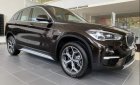 BMW X1   sDrive 1.8i 2019 - Cần bán BMW X1 sDrive 1.8i sản xuất 2019, màu đen, nhập khẩu