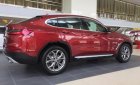 BMW X4 2019 - Bán BMW X4 2019, màu đỏ, nhập khẩu nguyên chiếc