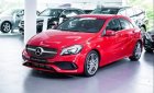 Mercedes-Benz A class A250   2017 - Bán Mercedes A250 đời 2017, màu đỏ, nhập khẩu 