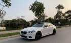 BMW 5 Series 520i 2013 - Bán xe BMW 5 Series đời 2014, màu trắng, nhập khẩu