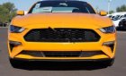 Ford Mustang Fastback 2019 - Cần bán xe Ford Mustang Fastback 2019, màu vàng, nhập khẩu 