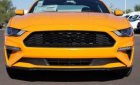 Ford Mustang   2.3 AT  2019 - Bán Ford Mustang 2.3 AT sản xuất 2019, màu vàng
