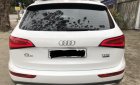Audi Q5 2.0 TFSI 2016 - Bán Audi Q5 2.0 TFSI màu trắng, sản xuất cuối 2016, nhập khẩu, đăng ký 2017