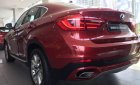 BMW X6 2018 - Bán xe BMW X6 sản xuất 2018