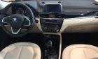 BMW X1 2018 - Bán BMW X1 đời 2019, màu nâu, nhập khẩu