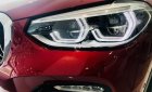 BMW X4 xDrive20i 2018 - Bán BMW X4 xDrive20i đời 2018, màu đỏ, nhập khẩu 