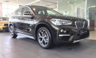 BMW X1 2018 - Bán BMW X1 đời 2019, màu nâu, nhập khẩu