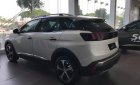 Peugeot 3008 2019 - Peugeot Thanh Xuân giao ngay xe 3008 đủ màu, hỗ trợ trả góp