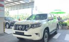 Toyota Prado 2019 - Bán xe Toyota Prado đời 2019, màu trắng, nhập khẩu