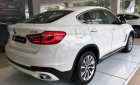 BMW X6 xDrive35i 2018 - BMW Phú Mỹ Hưng bán BMW X6 xDrive35i sản xuất 2018, xe mới 100%