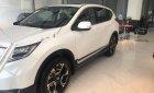 Honda CR V  L   2019 - Bán xe Honda CR V L đời 2019, màu trắng, nhập khẩu nguyên chiếc