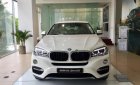 BMW X6 xDrive35i 2018 - BMW Phú Mỹ Hưng bán BMW X6 xDrive35i sản xuất 2018, xe mới 100%