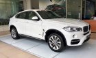 BMW X6 xDrive35i 2018 - BMW Phú Mỹ Hưng bán BMW X6 xDrive35i sản xuất 2018, xe mới 100%