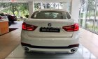 BMW X6 xDrive35i 2018 - BMW Phú Mỹ Hưng bán BMW X6 xDrive35i sản xuất 2018, xe mới 100%