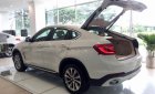 BMW X6 xDrive35i 2018 - BMW Phú Mỹ Hưng bán BMW X6 xDrive35i sản xuất 2018, xe mới 100%