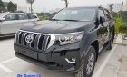 Toyota Land Cruiser VX 2019 - Bán Landcruiser Prado VX màu đen nhập - khẩu nguyên chiếc