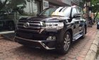 Toyota Land Cruiser VX 4.6 V8 AT 2017 - Bán xe Landcruiser 4.6 VXR mới 100%, nhập khẩu Trung Đông, màu đen, giao ngay. LH 093.798.2266