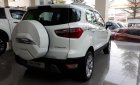 Ford EcoSport Titanium 1.5 2019 - Ford EcoSport 2019, nhận quà liền tay, liên hệ để nhận ưu đãi tốt nhất