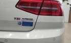 Volkswagen Passat Blue Motion 2018 - Bán Volkswagen Passat Blue Motion - trắng