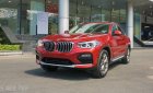 BMW X4 xDrive20i 2018 - Bán BMW X4 mới - chưa đăng ký