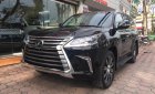 Lexus LX 570   2019 - Bán xe Lexus LX 570 USA 2019, màu đen, nhập khẩu Mỹ full option. LH 093.798.2266