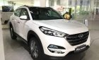 Hyundai Tucson 2019 - Bán xe Hyundai Tucson sản xuất năm 2019, màu trắng giá cạnh tranh