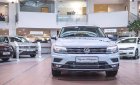 Volkswagen Tiguan E 2019 - VW Tiguan Allspace 2019 - Mẫu SUV 7 chỗ đủ màu giao ngay - hotline: 0909717983