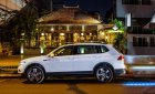 Volkswagen Tiguan   Allspace 2018 - Bán xe Volkswagen Tiguan Allspace 2018 SUV 7 chỗ nhập chính hãng, hỗ trợ trả góp, giá tốt, xe giao ngay - LH: 0933 365 188