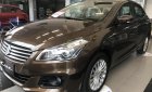 Suzuki Ciaz 2019 - Bán xe Suzuki Ciaz năm sản xuất 2019, màu nâu, nhập khẩu, 455tr